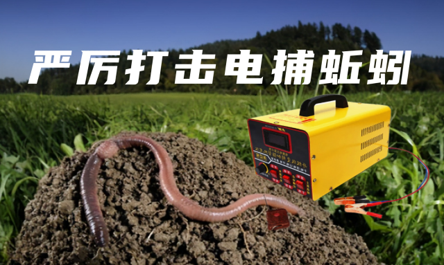 图片5.png