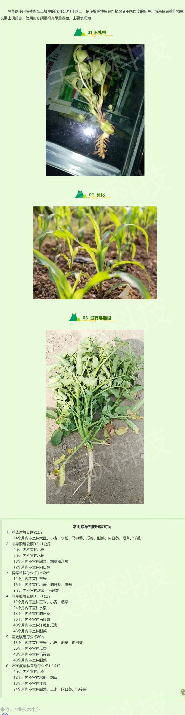 震惊！除草剂使用后残留在土壤中的效用长达1年以上.jpg