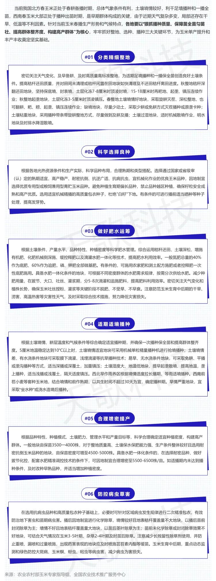 2023年春播玉米生产技术指导意见.jpg