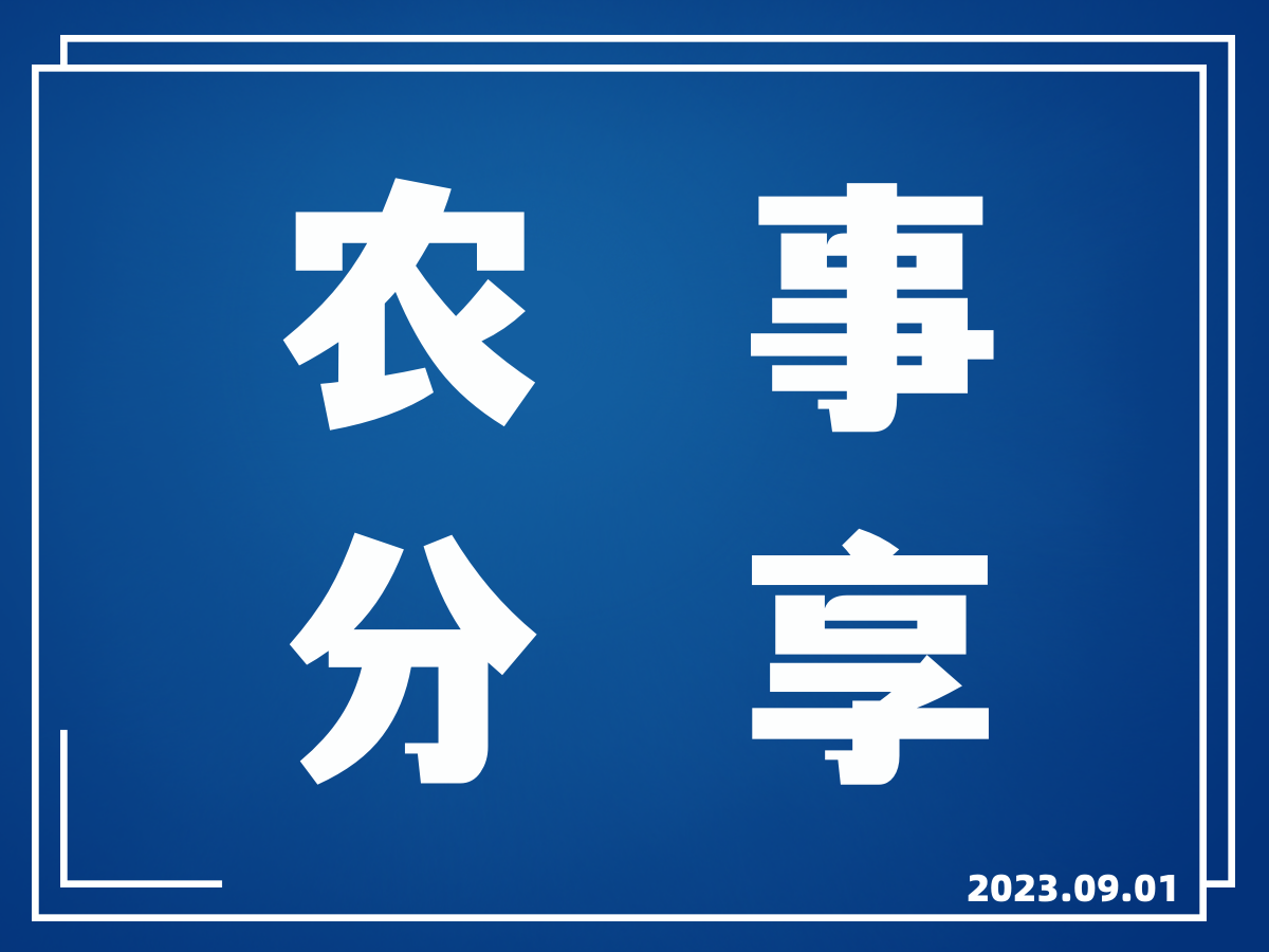 广西完善农产品质量安全信用体系